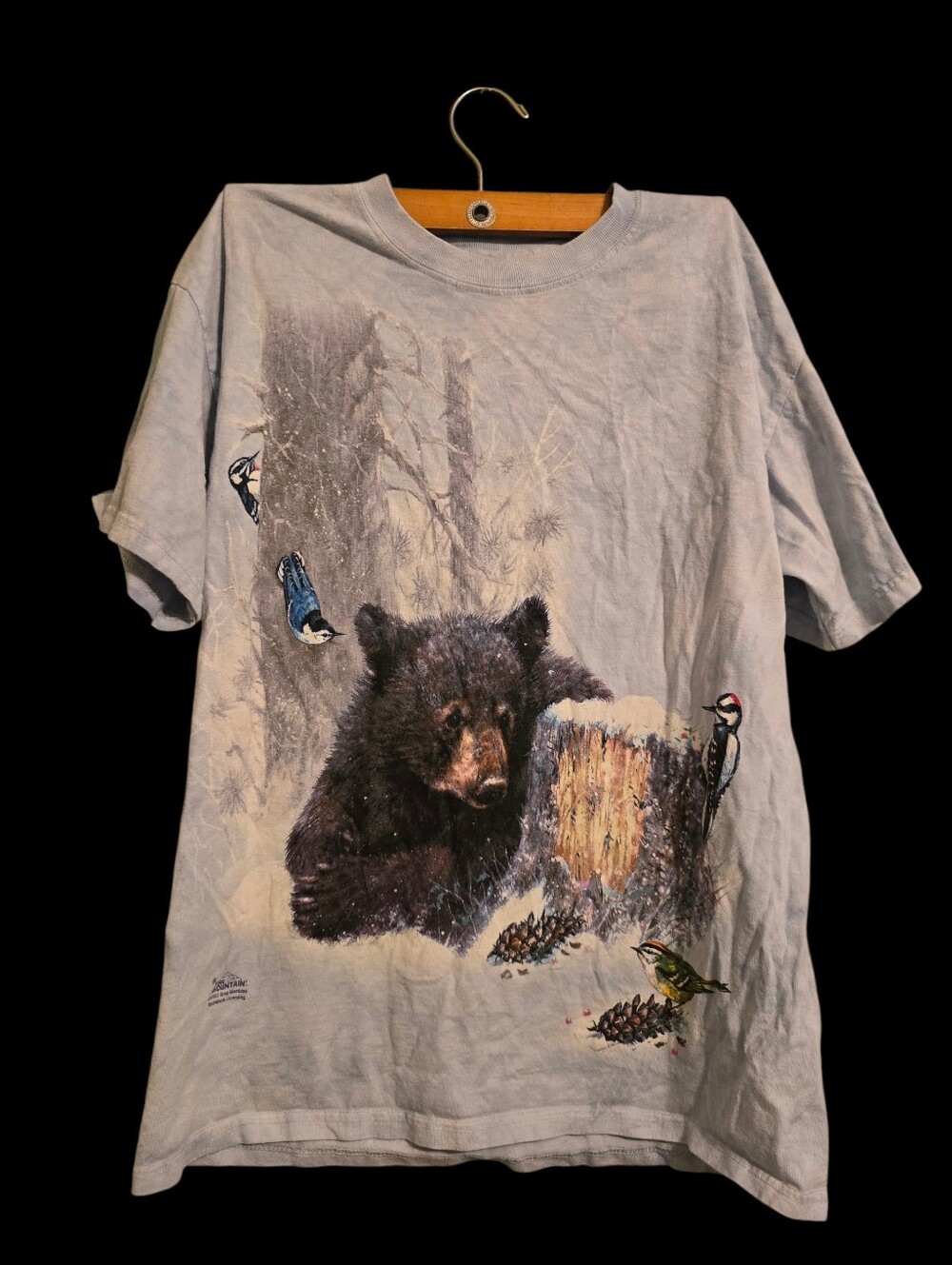 The Mountain | Yosemite National Forest Bear Graphic Tee